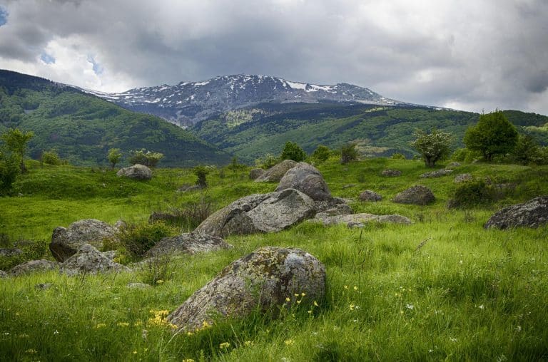 Montagne Vitosha