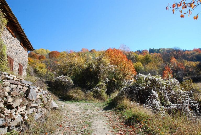 Couleurs d’Automne en Bulgarie