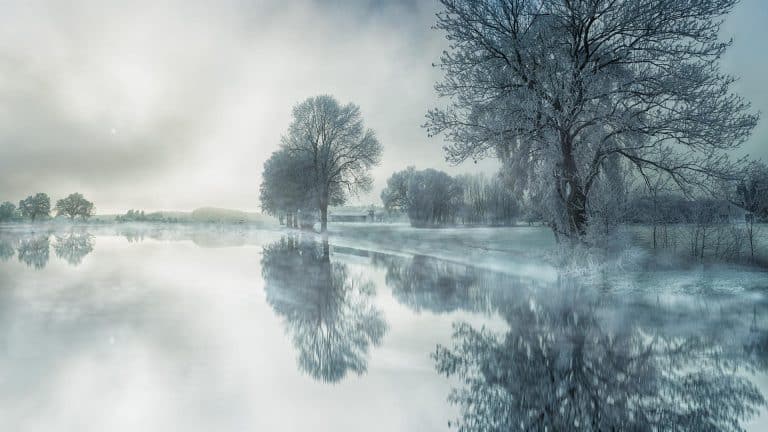 Conte de fée d’Hiver en Bulgarie