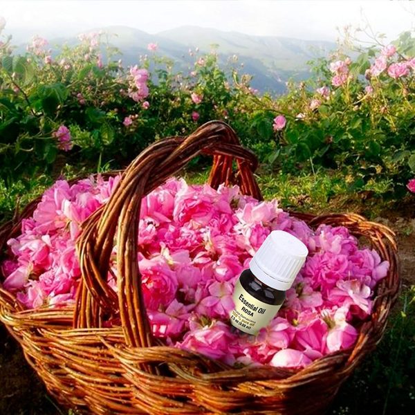 Huile Essentielle de Rose 2,5ml - Rosa Damascena - Bulgare - 100% Pur & Naturelle – Image 4